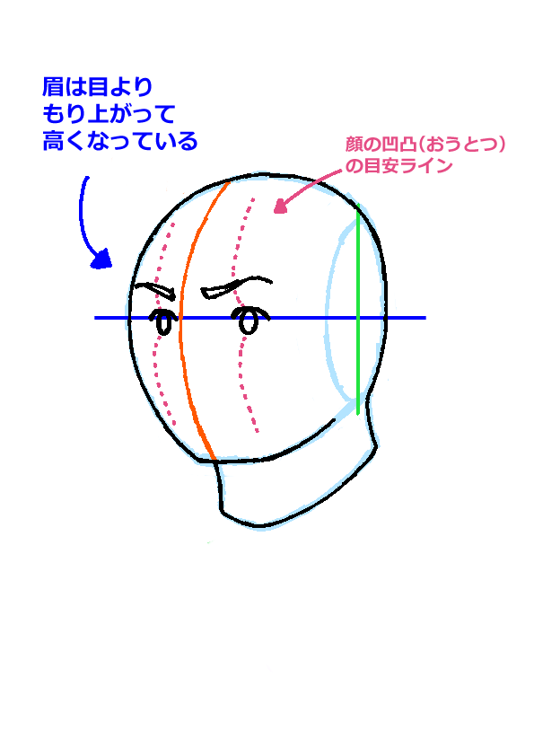 【第4回】キモい顔とはこれでおさらば！～知識で描く人の頭部…