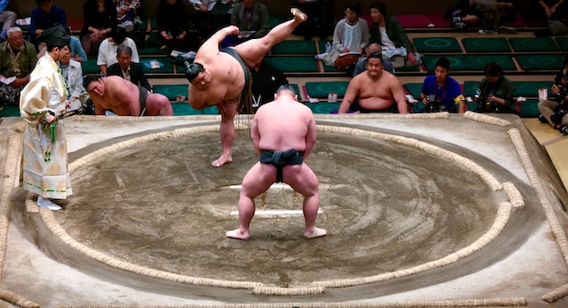 日本の相撲は重心の低さが重要