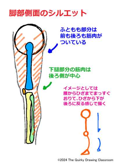 脚部側面のシルエット