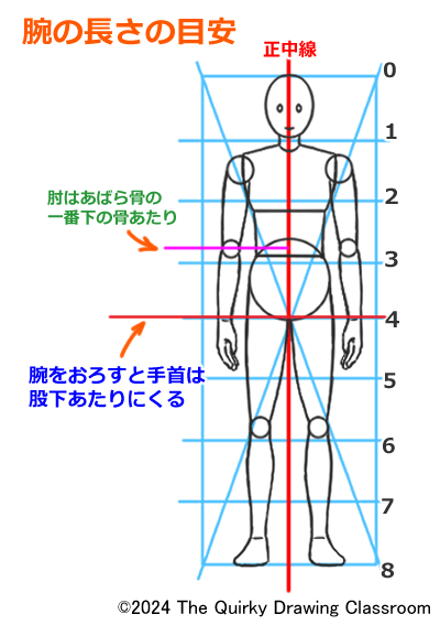 股下を基準とした腕の長さの測り方