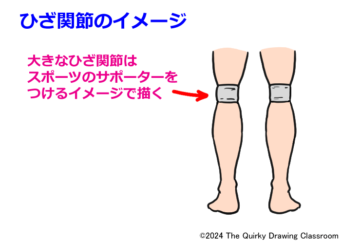 ひざ関節のイメージ