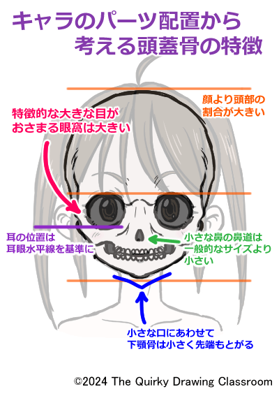 萌えキャラの頭蓋骨の特徴