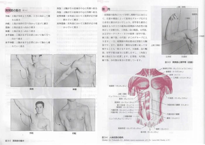 『身体運動の機能解剖』sample01