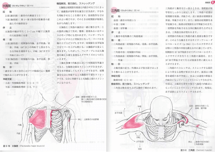 『身体運動の機能解剖』sample02