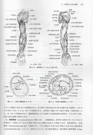 『基礎運動学』sample01