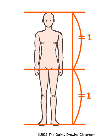 humanbody01