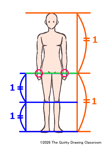 humanbody04