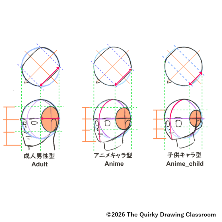 head_comparison