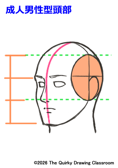 headsample03